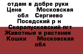 отдам в добре руки › Цена ­ 5 - Московская обл., Сергиево-Посадский р-н, Скоропусковский пгт Животные и растения » Кошки   . Московская обл.